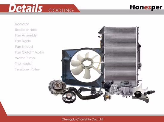 Senp Car Parts Engine Mount Auto Parts Wholesale Auto Spare Parts 7L8199131f Original Quality Engine Mounting Motor Mount for Audi Q7 VW Touareg